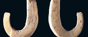 Petri heil. Steinzeitliche Angelhaken aus Muschelschalen. Foto: Sue O'Connor