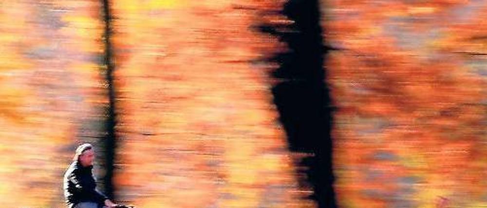 Idyllische Strecke. Kaum war das Spreeufer im Schlosspark freigegeben, da traten schon die ersten Radler kräftig in die Pedale. Foto: dpa