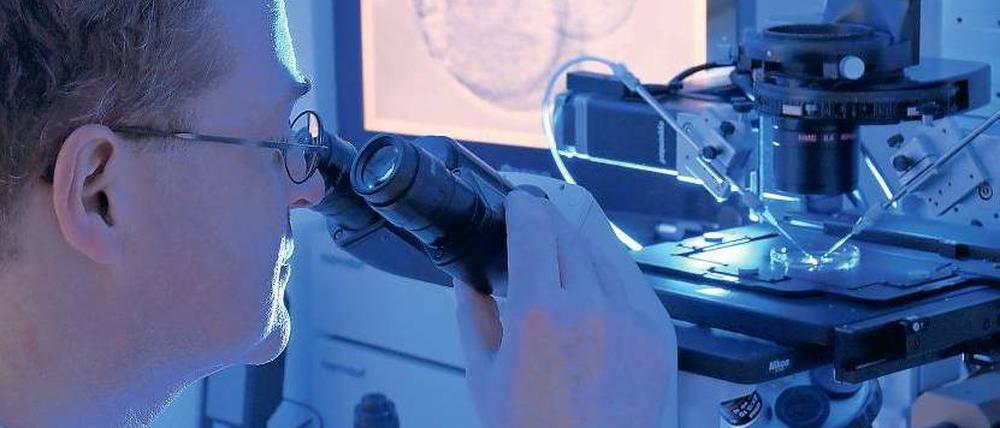 Theoretiker machen ihre Entdeckung vier Jahre vor empirischen Forschern.F: dpa