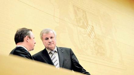 Bald getrennte Wege. Bayerns Noch-Finanzminister Georg Fahrenschon hat seinen Parteichef, Ministerpräsident Horst Seehofer, über seine Pläne längst informiert. Foto: dapd