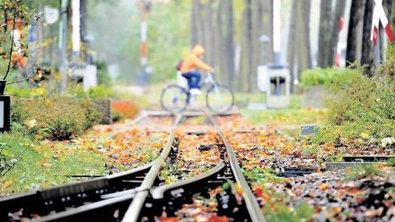 Auf der Spur. Bisher sind zwei ehemalige Mitarbeiter der Parkeisenbahn verurteilt worden, ein 26-jähriger Schaffner und ein 37-jähriger Betriebsleiter. Sie haben mehr als 50 Übergriffe auf 13 Kinder gestanden. Die Justiz ermittelt gegen weitere sieben Tatverdächtige, darunter sechs Eisenbahner.