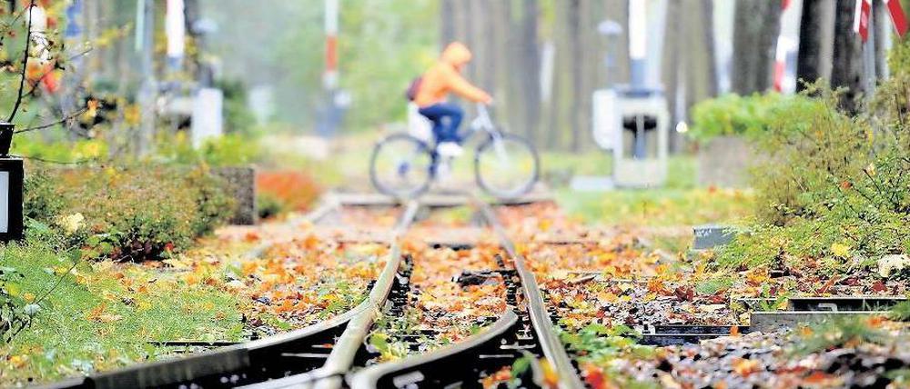 Auf der Spur. Bisher sind zwei ehemalige Mitarbeiter der Parkeisenbahn verurteilt worden, ein 26-jähriger Schaffner und ein 37-jähriger Betriebsleiter. Sie haben mehr als 50 Übergriffe auf 13 Kinder gestanden. Die Justiz ermittelt gegen weitere sieben Tatverdächtige, darunter sechs Eisenbahner.