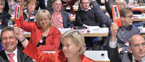 Vier Jahre nach ihrer Gründung hat sich die Linke ein Grundsatzparteiprogramm gegeben. Es strebt einen radikalen Systemwandel an.