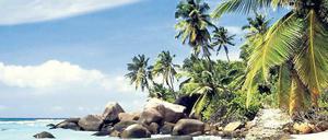 Fotos: dpa, ddp, p-a/gms, Reuters, Screenshot