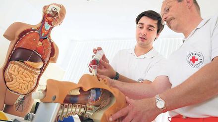 „Bufdi“ beim DRK. Die jungen Männer, die den Bundesfreiwilligendienst leisten, sollen helfen, die Lücken zu schließen, die durch den Wegfall des Zivildienstes entstanden sind. 