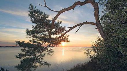 Zwischen Idylle und Hölle. Auf die Halbinsel Gnitz ziehen sich Menschen zurück, die ihre Ruhe haben wollen. 
