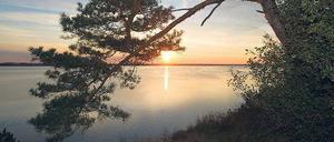 Zwischen Idylle und Hölle. Auf die Halbinsel Gnitz ziehen sich Menschen zurück, die ihre Ruhe haben wollen.