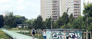 An den Rand gedrängt. Die Mietpreissteigerungen in der Innenstadt zwingen immer mehr Einkommensschwache, in Außenbezirke wie Marzahn-Hellersdorf zu ziehen. Foto: dapd