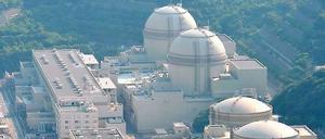 Mit vier Reaktorblöcken ist "Ohi" eine wichtige Anlage für die japanische Energie-Wirtschaft. Block 1 musste nach einem Zwischenfall vom Netz genommen werden.