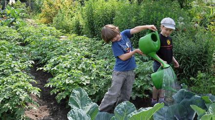 So viel Spaß kann Gartenarbeit machen - die Kinder der Kita Rheingaustraße sind jedenfalls mit Feuereifer bei der Sache.