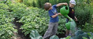 So viel Spaß kann Gartenarbeit machen - die Kinder der Kita Rheingaustraße sind jedenfalls mit Feuereifer bei der Sache.