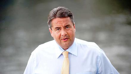 Sigmar Gabriel, Vorsitzender der SPD