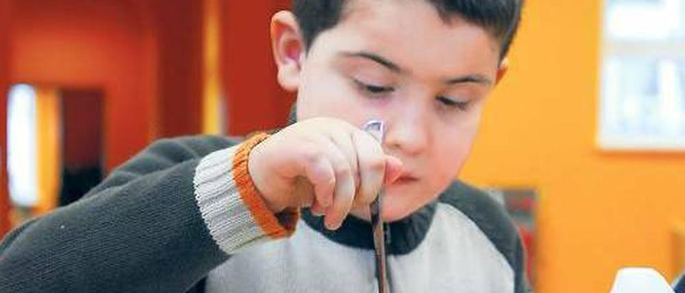 Keiner isst für sich allein. Laut Volksbegehren sollen alle Grundschüler subventionierte Mahlzeiten erhalten. 