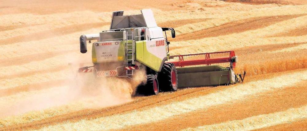 Agrarrohstoffe wie Getreide, Kartoffeln oder Ölpflanzen haben sich in den vergangenen zwölf Monaten um bis zu 50 Prozent verteuert. 