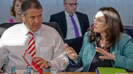 Parteichef Sigmar Gabriel und Generalsekretärin Andrea Nahles wollen die Parteistrukturen reformieren. Aber nicht alle Vorschläge finden in der SPD Zustimmung.