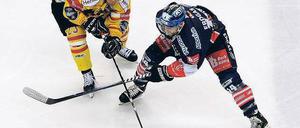 Kampf um die Plätze. Daniel Kreutzer (links) ist mit Düsseldorf ausgeschieden und hat Chancen bei der Nationalmannschaft. André Rankel (rechts) hingegen verpasst einen großen Teil der WM-Vorbereitung, weil er mit den Eisbären im Finale spielt. Foto: dpa