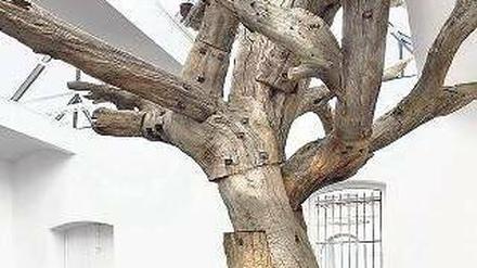 Überlebensgroß. Die Installation des in Peking verschleppten Ai Weiwei bei Neugerriemschneider bringt totes Holz und Porzellan zusammen. 