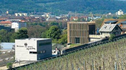 Wein-Anbau. Winzer Knoll (o.), Horst Sauer (u.li.) und Familie Kreutzenberger (u.re.) trauen sich was. Gerhard Hagen, © prof. dieter