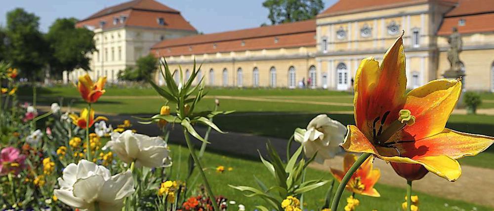 "Aber die Sonne duldet kein Weißes, überall regt sich Bildung und Streben, alles will sie mit Farbe beleben." (Faust - vor dem Charlottenburger Schloss)