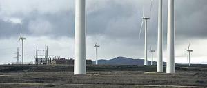 Klarer Vorteil. Der Ökostudie zufolge kostet eine Kilowattstunde Windstrom mit 7,6 Cent viel weniger als Atomkraft mit 12,6 Cent.