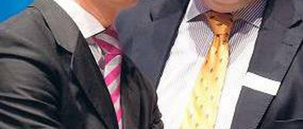 Herr und Schatzmeister. Bundesgesundheitsminister Philipp Rösler (links) will FDP-Chef werden, Fraktionsvize Patrick Döring soll neuer Kassenwart der Partei sein. 