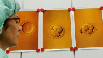 Die strikten Gegner der Präimplantationsdiagnostik (PID) wie auch die Befürworter einer Anwendung unter strengsten Auflagen wollen im Parlament um weitere Unterstützer für die verschiedenen Positionen werben. 