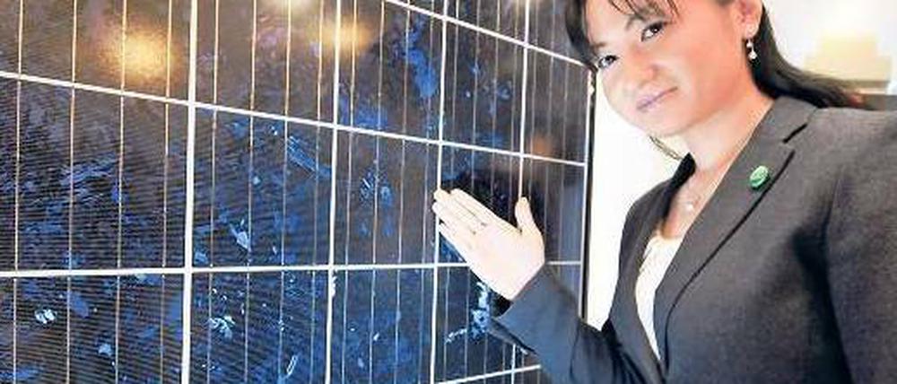 Eigene Zellen. In Japan dominieren heimische Firmen den Solarmarkt. Diese polykristallinen Module stammen von Mitsubishi. Foto: AFP
