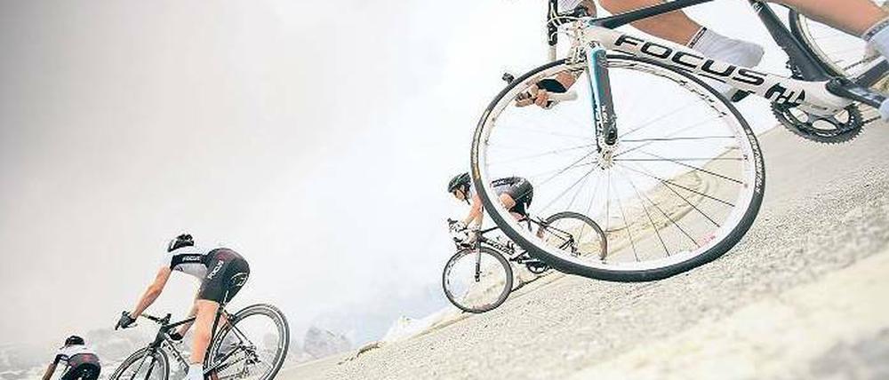 Gut im Rennen. Die Cloppenburger Firma Derby Cycle ist mit Marken wie Focus die Nummer eins auf dem deutschen Markt. Foto: promo