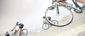 Gut im Rennen. Die Cloppenburger Firma Derby Cycle ist mit Marken wie Focus die Nummer eins auf dem deutschen Markt. Foto: promo