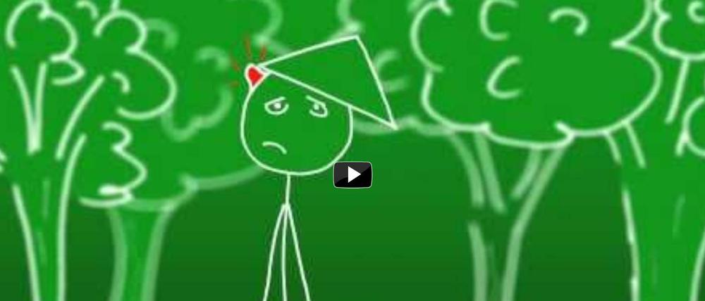 Ein peinliches Anti-Grünen-Video offenbart die Verzweiflung der CSU.