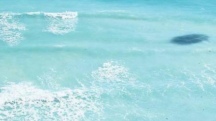 Rettungsring für die Welt. Umweltaktivisten von Greenpeace haben am Stand von Cancun Luftkissen aufgeblasen, die kleine Inselstaaten kaum retten werden.