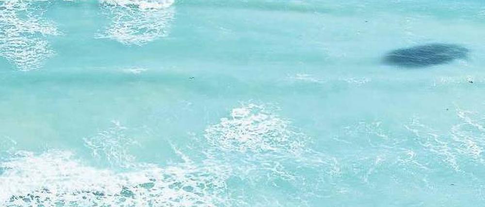 Rettungsring für die Welt. Umweltaktivisten von Greenpeace haben am Stand von Cancun Luftkissen aufgeblasen, die kleine Inselstaaten kaum retten werden.
