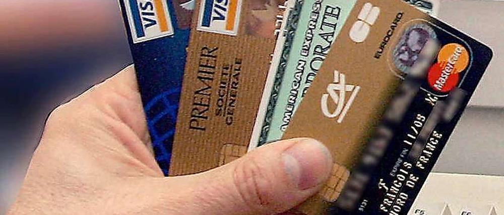 Nach den Internet-Attacken von Wikileaks-Anhängern auf Websites von Mastercard und Visa ist ein 16-jähriger Niederländer festgenommen worden.