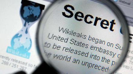 Die Enthüllungsplattform Wikileaks. 