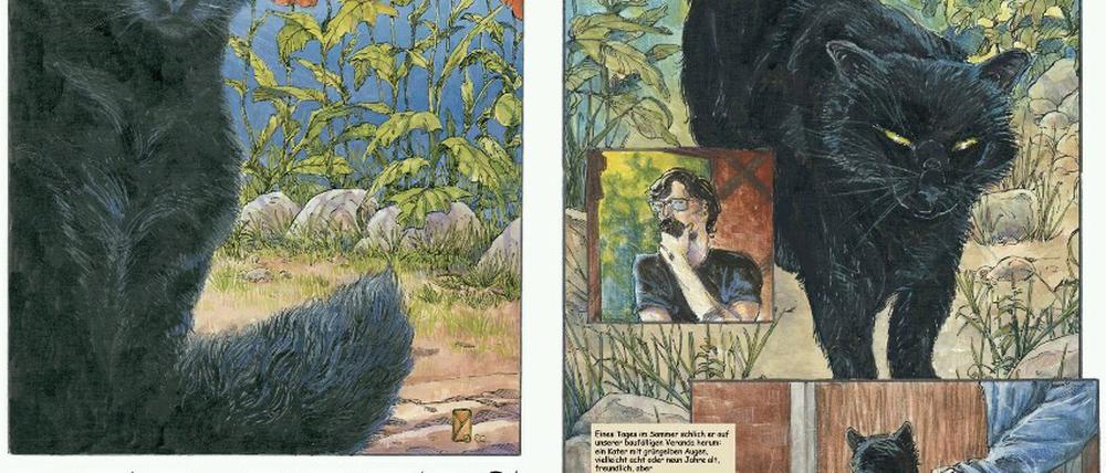 Geschöpfe der Nacht. Michael Zulli hat Neil Gaimans Kurzgeschichte bereits vor einiger Zeit als Comic umgesetzt, der auf Deutsch bei Panini erschienen ist.