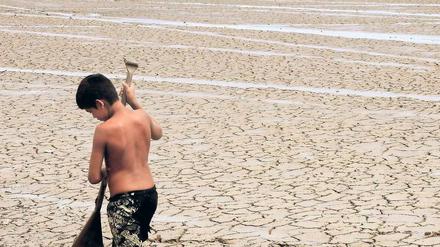 Dürre. La Niña hat in Brasilien zu großer Trockenheit geführt. Dabei sind auch die Pegel großer Flüsse deutlich zurückgegangen. Der Rio Negro, hier nahe Manaus, hat einen historischen Tiefstand bezogen auf die letzten 100 Jahre erreicht. 