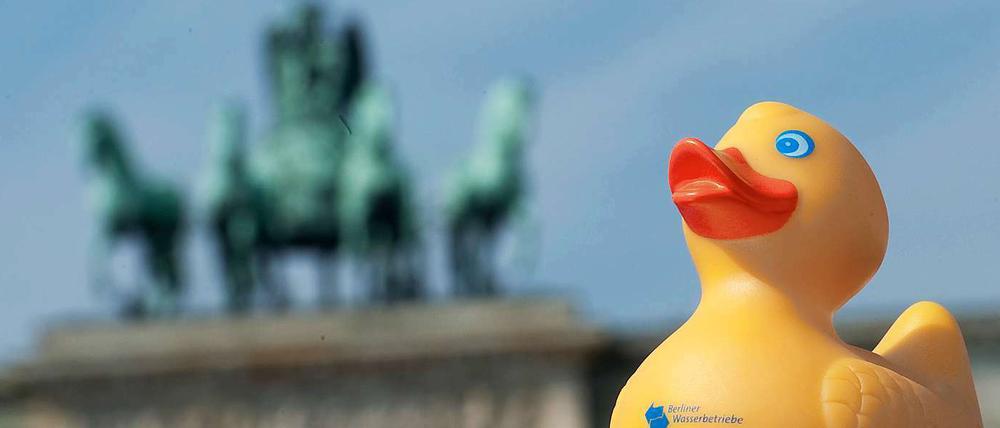 Berliner Wasser soll bald wieder dem Land gehören, wenn es nach der SPD geht.
