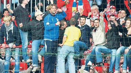 Zaunkönig. Jürgen Klopp hat ein Stück Mainz mit nach Dortmund genommen. Foto: firo