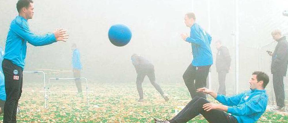 Laubtraining. Hertha behält auch im herbstlichen Nebel den Durchblick. 