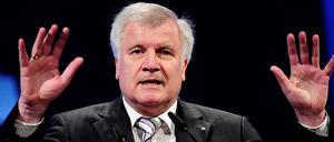 CSU-Chef Horst Seehofer