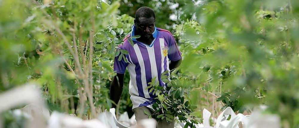 Gezielt in die armen Länder. Investoren aus dem Westen drängen nach Afrika..