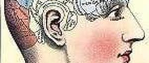 Gehirnkarte. Gall meinte, in der Kopfform sei die Persönlichkeit zu erkennen. 