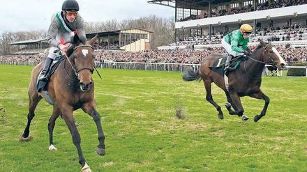 Volles Haus. Zum Saisonauftakt im April waren die Tribünen in Hoppegarten gut gefüllt. Das soll auch heute so sein. Foto: dpa
