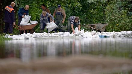Bei Bad Liebenwerda erreicht das Wasser fast die Deichspitze. Helfer dichten den Deich am Seitenarm der Schwarzen Elster ab. 