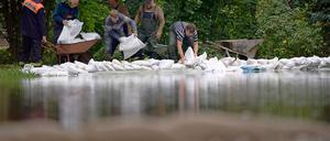 Bei Bad Liebenwerda erreicht das Wasser fast die Deichspitze. Helfer dichten den Deich am Seitenarm der Schwarzen Elster ab.