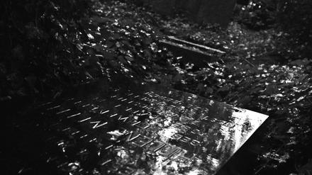 Der katholische St.-Hedwigs-Friedhof, Liesenstraße 8 in Berlin-Mitte.