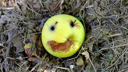 Smiley statt Ekelliste