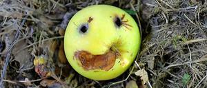 Smiley statt Ekelliste