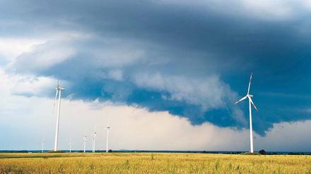 Sauber, aber unschön. Die Zahl der Windparks wie hier in Sieversdorf (Oder-Spree) soll weiter steigen.