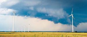 Sauber, aber unschön. Die Zahl der Windparks wie hier in Sieversdorf (Oder-Spree) soll weiter steigen. 